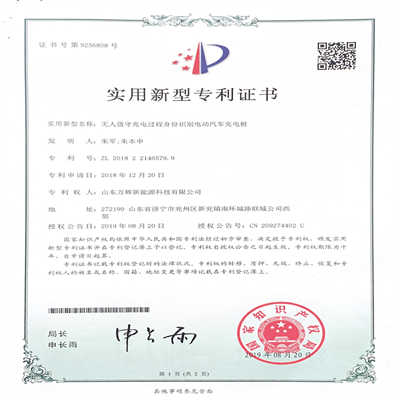 ����ֵ�س���������ʶ��綯�������׮